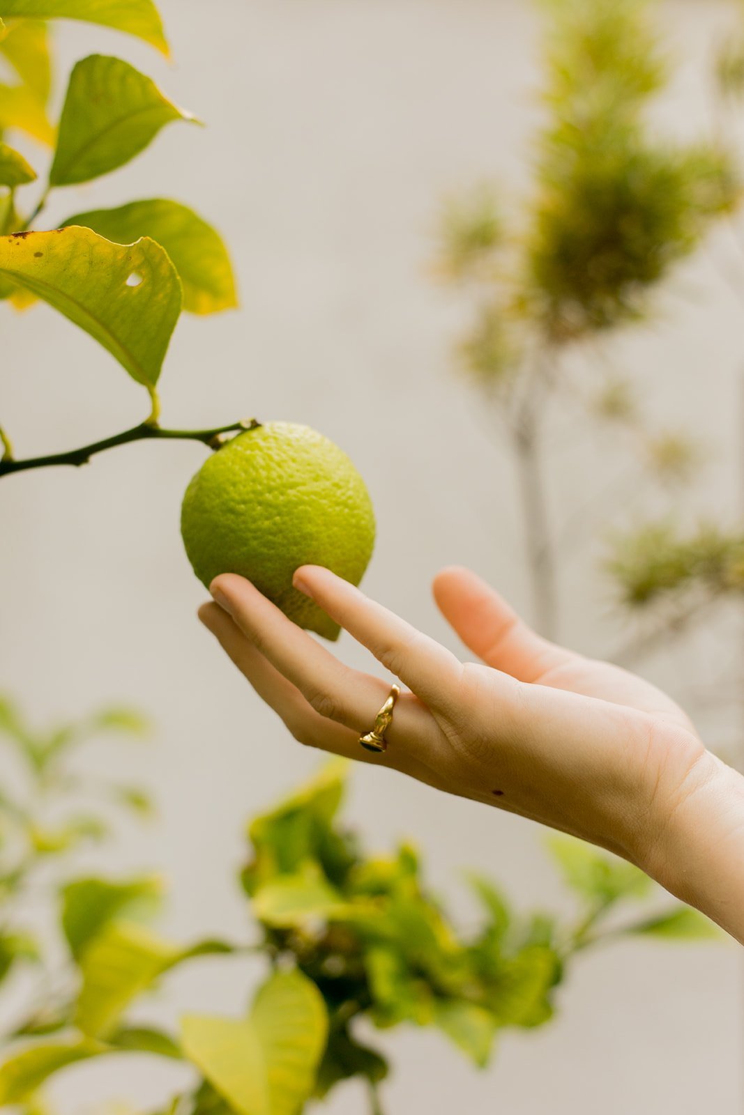 attachment-61ddfc8f52f9d6324b8d2589