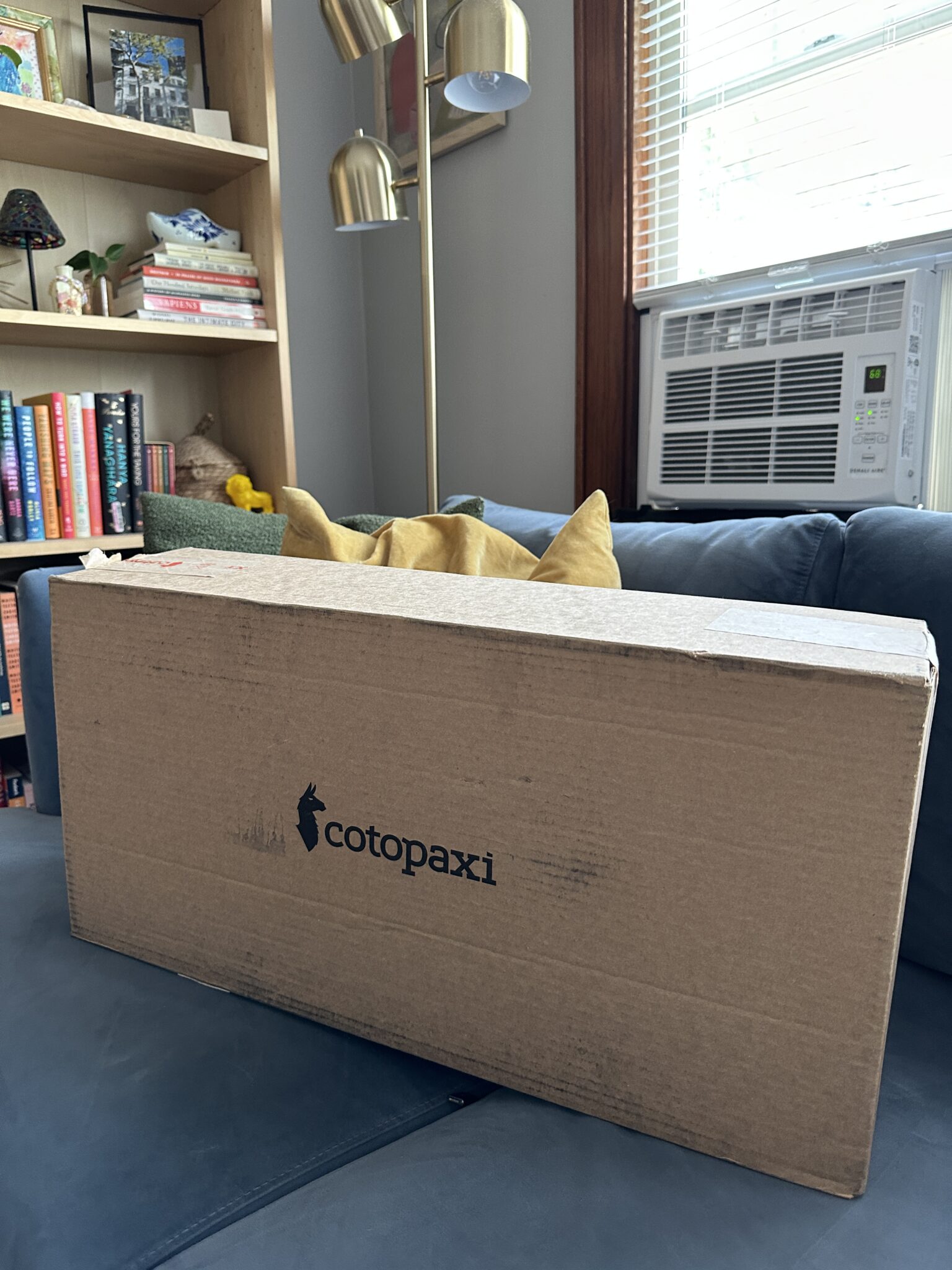 A large brown Cotopaxi-branded cardboard box sits on a blue couch in a living room with bookshelves and a window air conditioner in the background.