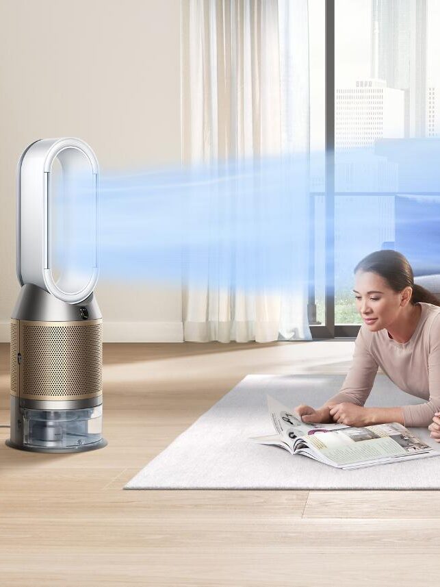 A woman and a child lie on a rug reading a book in a bright room. An air purifier stands nearby, emitting a stream of air.