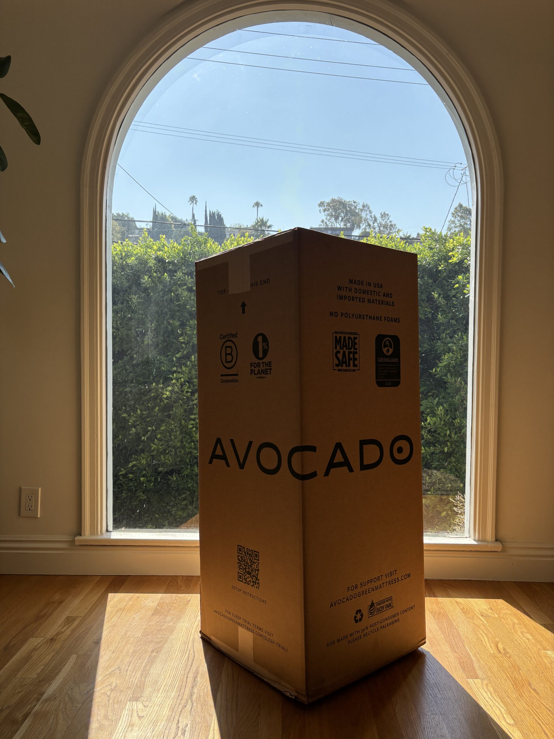 A large Avocado mattress box stands on a wooden floor in front of a tall arched window with greenery and blue sky visible outside.