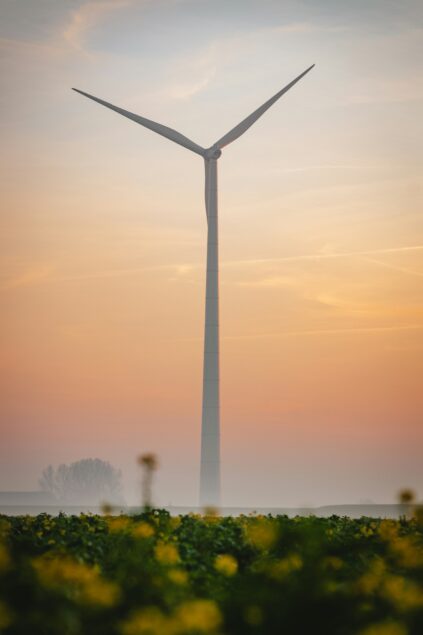 A wind turbine stands in a field with yellow flowers, silhouetted against a hazy sunset sky.