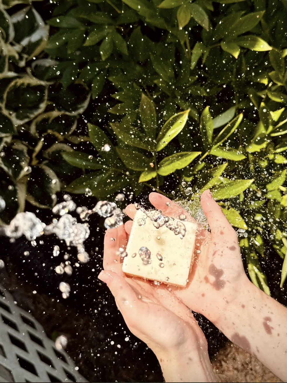 Hands holding a bar of soap with water splashing, surrounded by green leaves in the background.