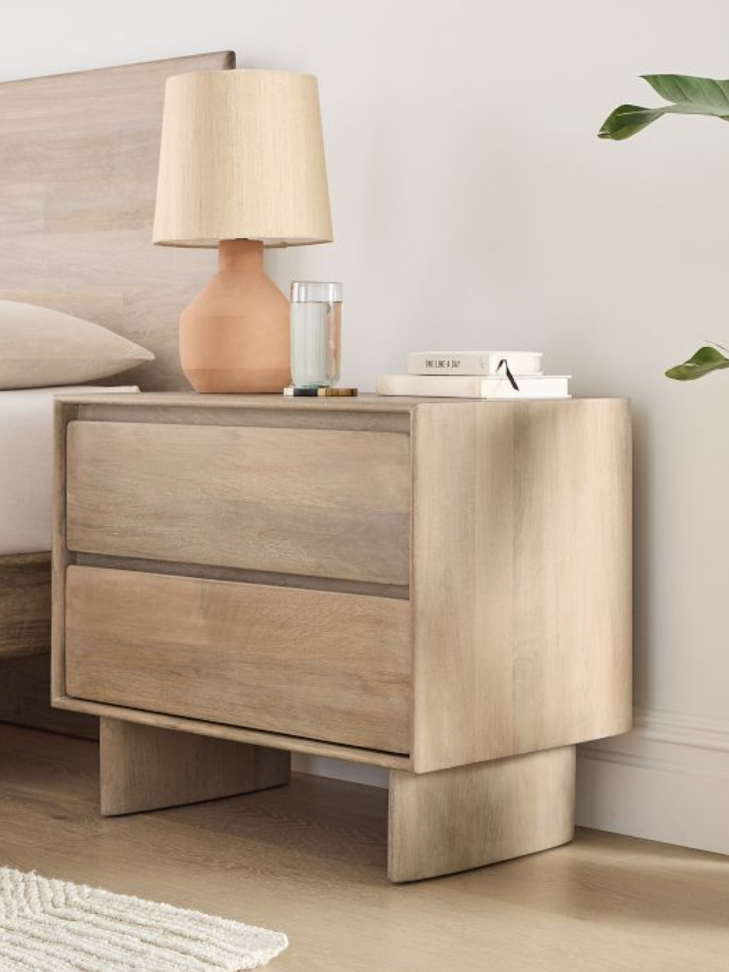 Wooden bedside table with two drawers, topped with a lamp, a glass of water, and a stack of books. Adjacent to a bed with a wooden headboard, next to a leafy plant.