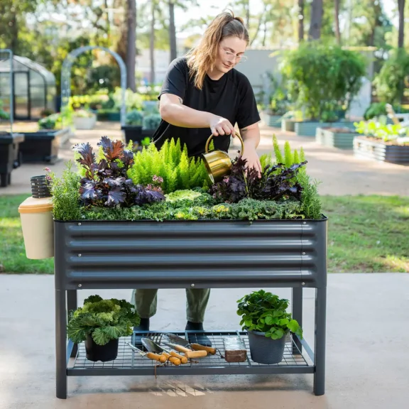 A woman waters plants in a raised metal garden bed, surrounded by gardening tools and potted herbs, in an outdoor garden setting.